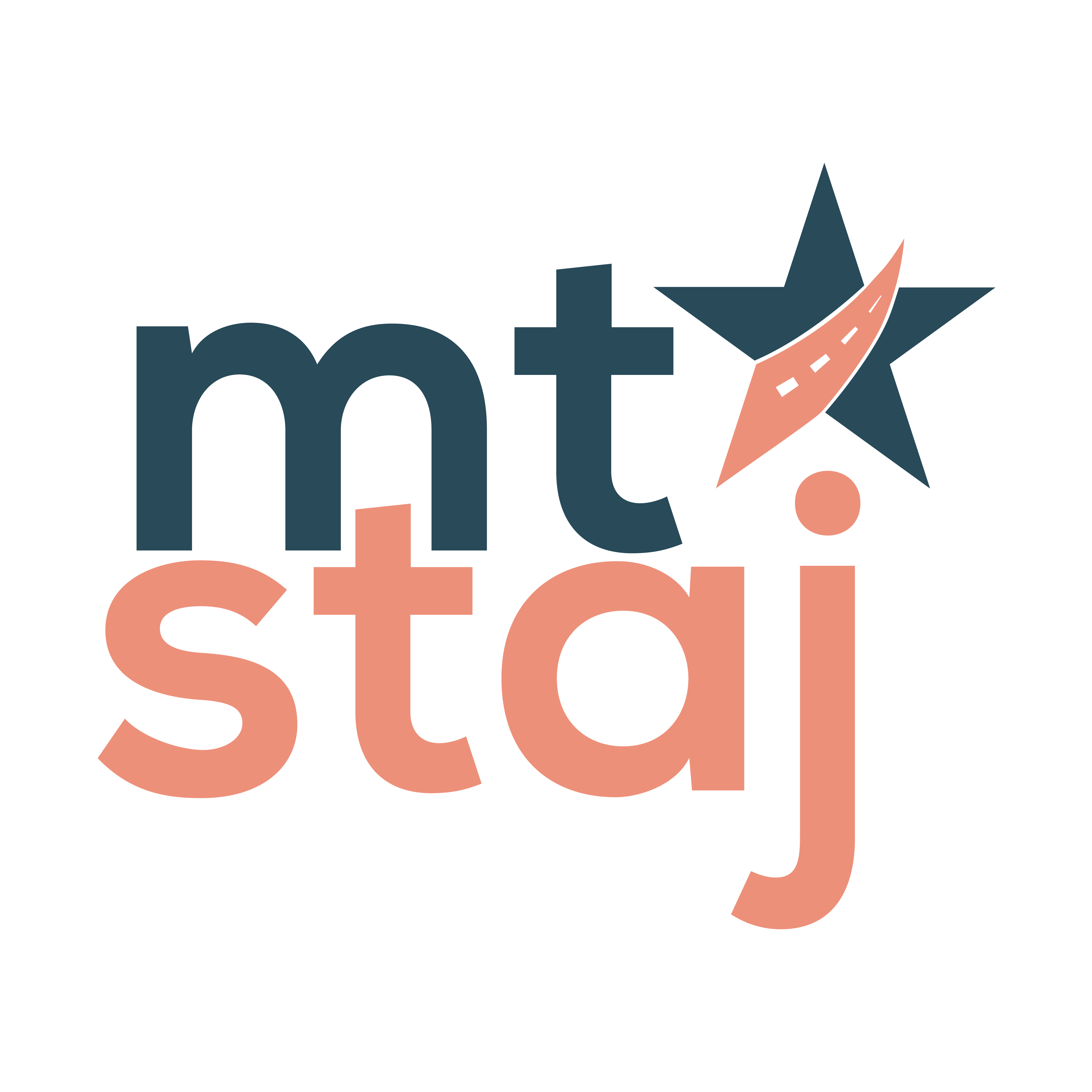 MT Staj Programlar 